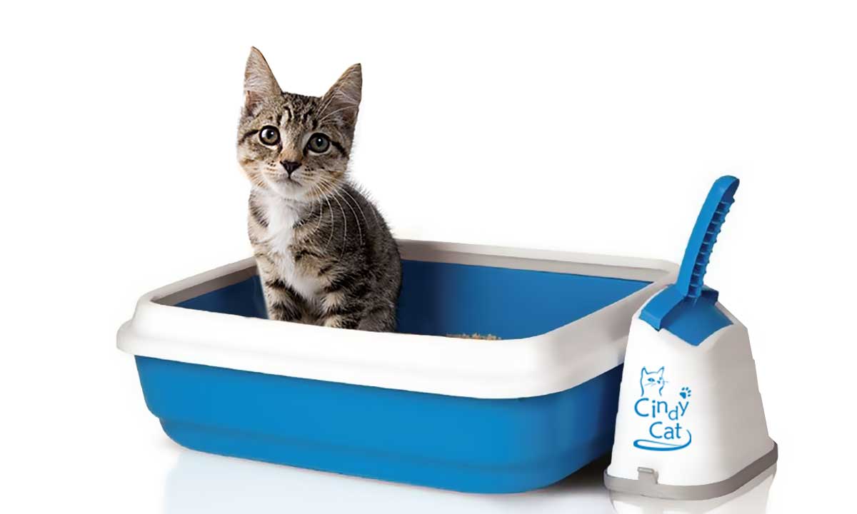 Как выбрать наполнитель для кошачьего лотка: минимум уборки и максимум  комфорта. | CindyCat