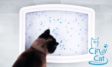 кошка у лотка с силикагелевым наполнителем