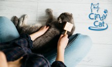 Вычесывание шерсти у кошки